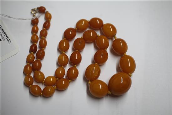 A single strand graduated oval amber bead necklace, 58cm.